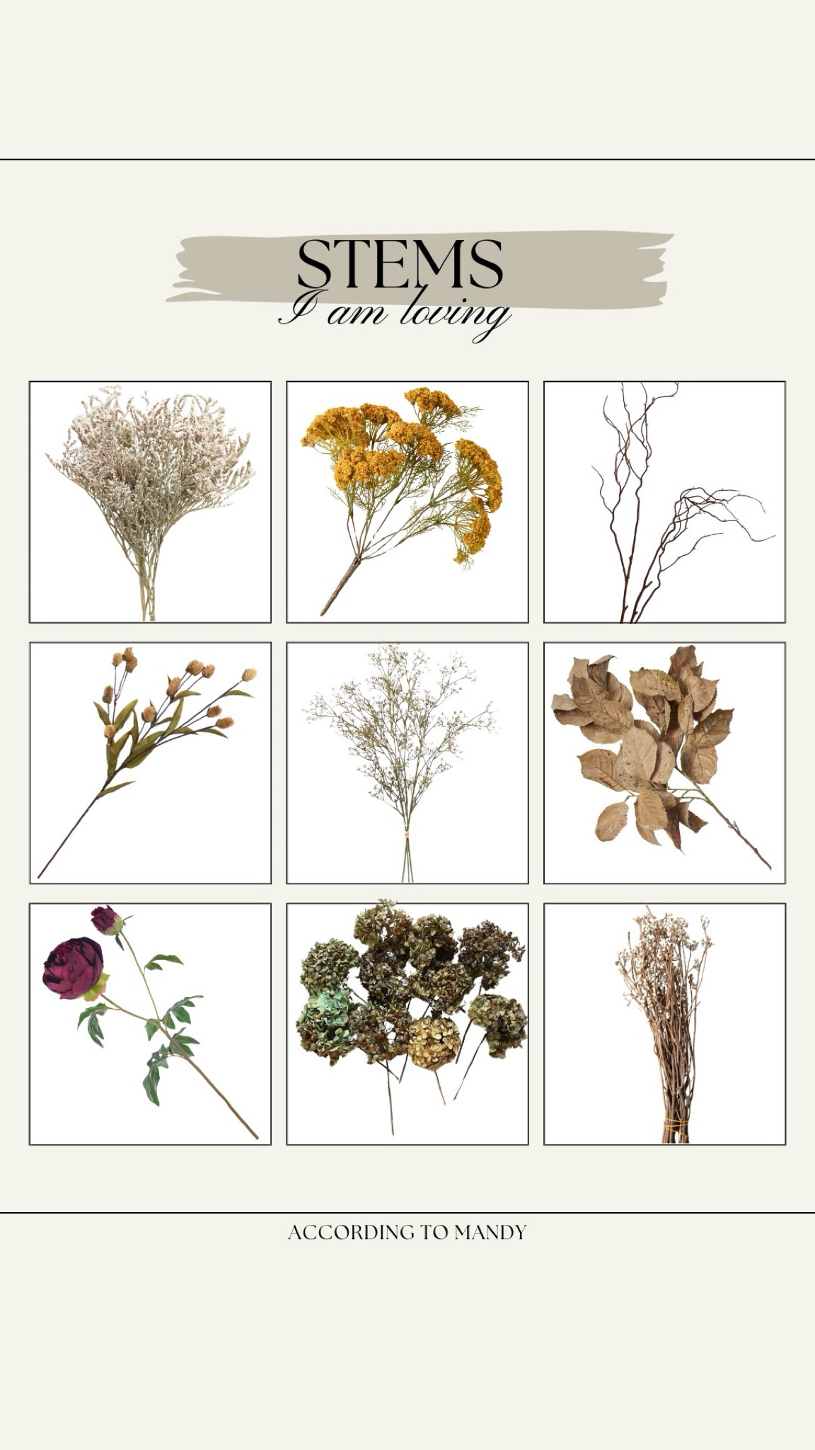 Stems I am loving! 

spring stems, winter stems, affordable stems, affordable florals, magnolia home, etsy, michael’s, afloral, dried stems

#LTKFindsUnder50 #LTKHome #LTKSeasonal