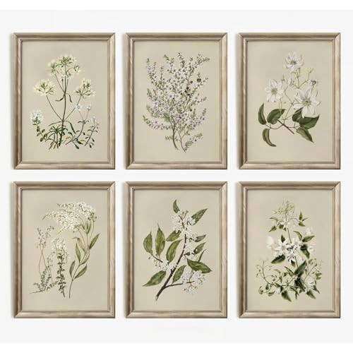 Vintage Botanical Wall Art Set of 6 Neutral Floral Canvas Wall Decor Wildflower Wall Art Watercolor Flower Prints Botanical Poster Minimalist Plant Pictures for Bedroom Living Room 8x10 Inch Unframed | Amazon (US)