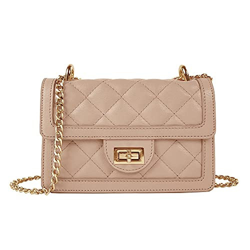 SG SUGU Small Quilted Crossbody Bag, Trendy Designer Shoulder Bag, Phone Wallet Purse for Women (Nude) | Amazon (US)