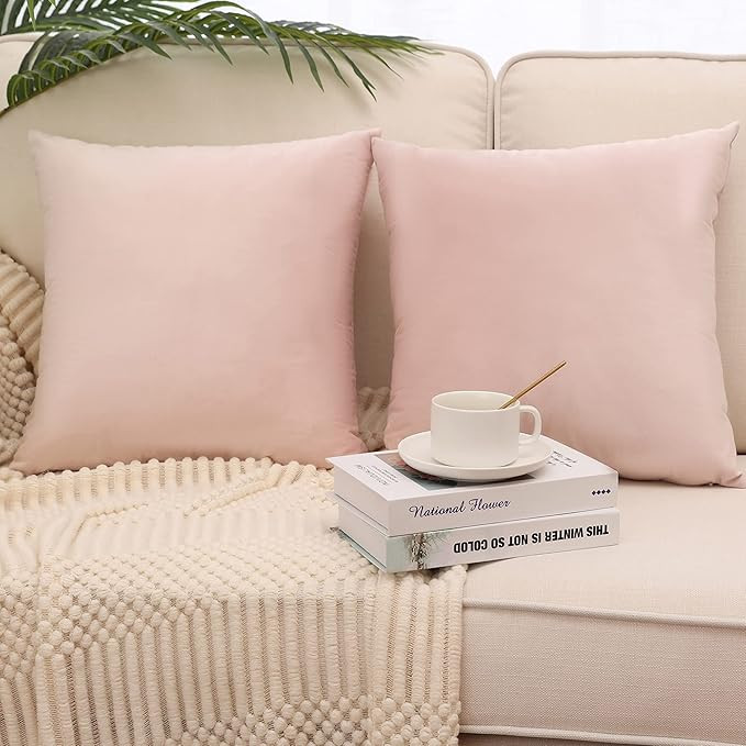 MZPSO Pack of 2, Velvet Super Soft Solid Decorative Square Throw Pillow Covers Set Cushion Case f... | Amazon (US)