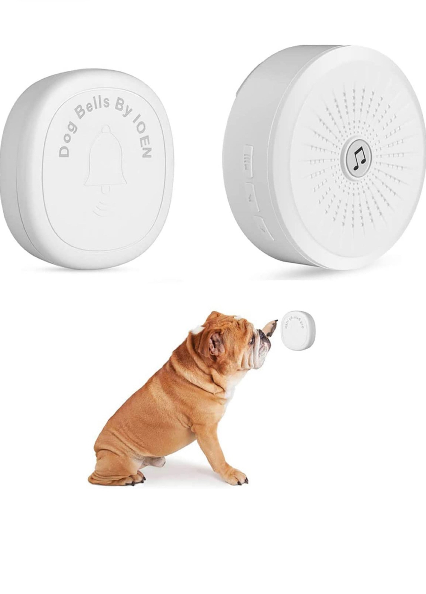 Dog doorbell, pet doorbell, doorbell, smart doorbell, dog music doorbell

#LTKsalealert #LTKhome