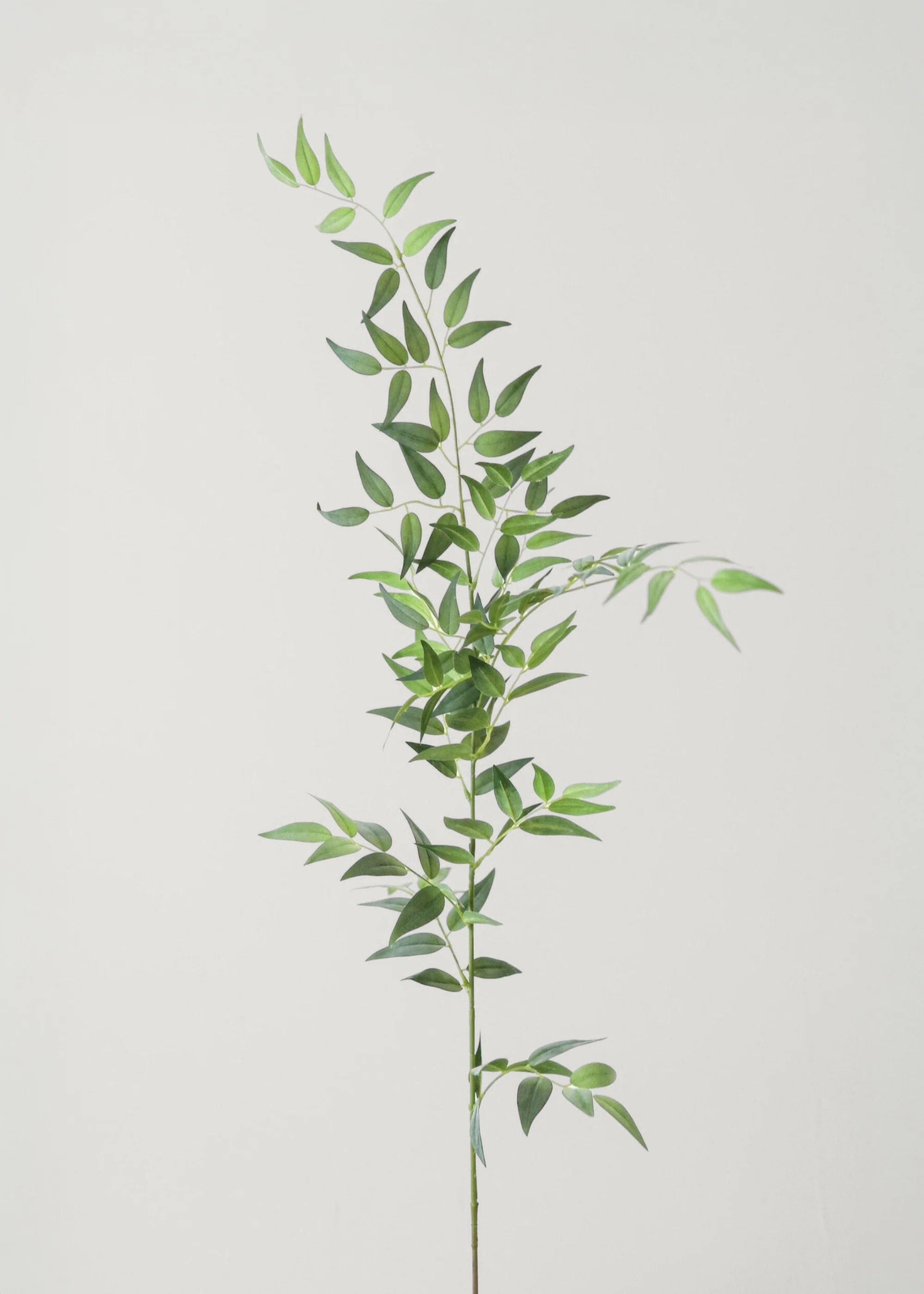 Tall Italian Ruscus Leaf Branch | Fake Leaves & Plants at Afloral.com | Afloral