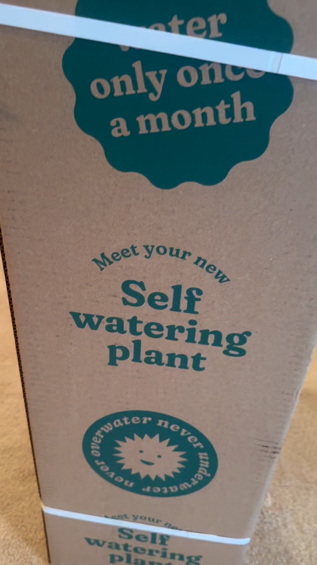 @easyplant for the win at my house! 
I wish I had an entire house of these! 

#livinglargeinlilly

#LTKmomlife #LTKHome #LTKdayinmylife