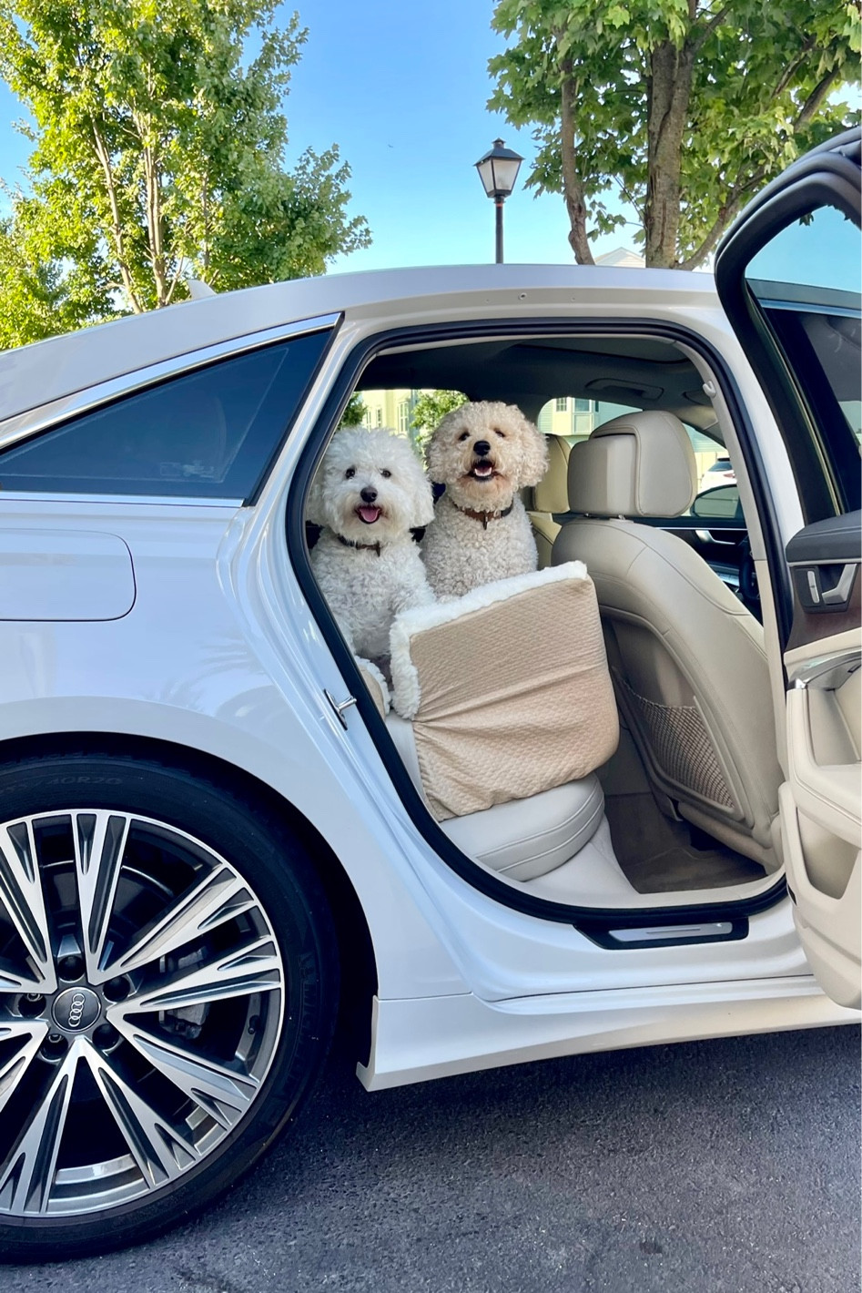 Had to get my pups a new car seat to match the new car interior! They absolutely love riding in this every single day  

#LTKstyletip #LTKsalealert