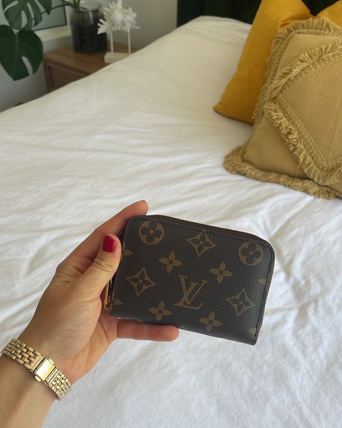 Classic LV Wallet