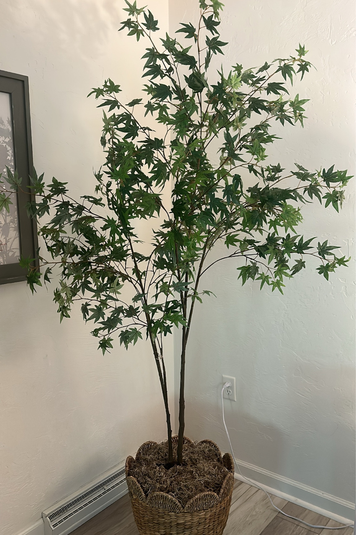 Faux maple tree

#LTKhome