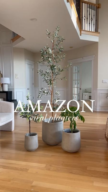 Viral Amazon planters that look designer but for a fraction of a cost. They come as a set of 3. #amazonhome 

#LTKSaleAlert #LTKHome #LTKGiftGuide
