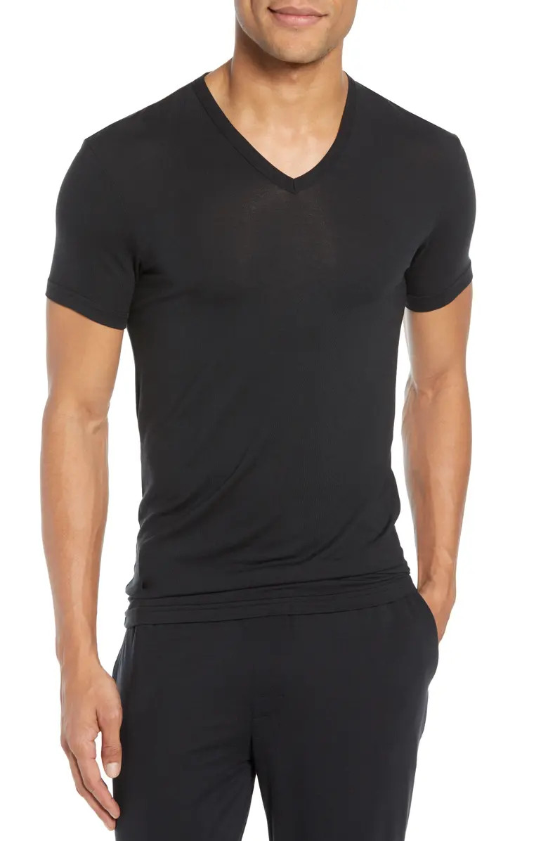 Ultrasoft Stretch Modal V-Neck T-Shirt | Nordstrom