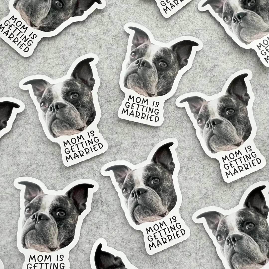 Custom Pet Bachelorette Party Stickers: Personalized Bridal Shower Favors | Etsy (US)