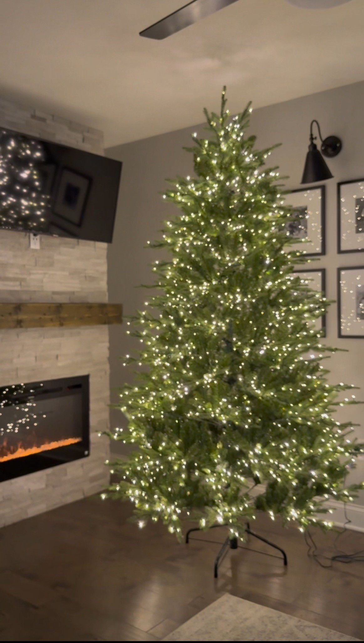 The most gorgeous tree! The twinkle is darling and 9 different multi light and white light settings with a remote. 

#LTKHome #LTKSeasonal #LTKHoliday
