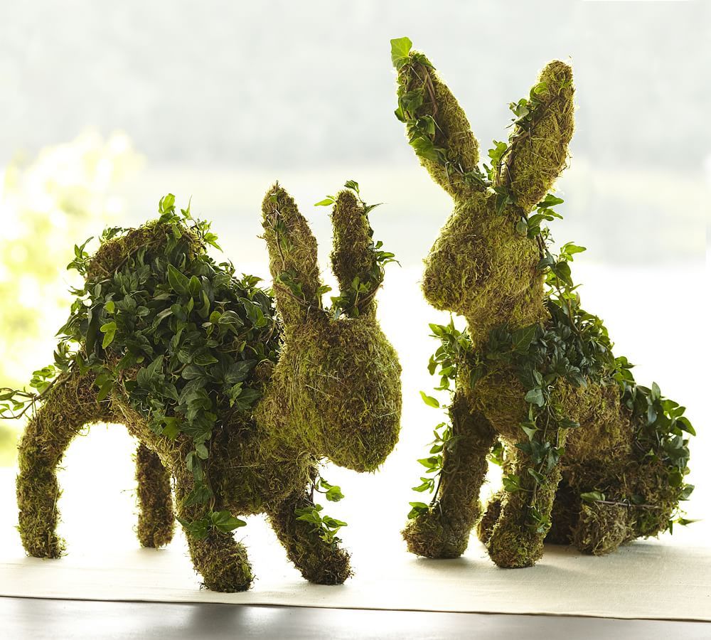 Fresh Ivy Bunny Topiaries | Pottery Barn (US)