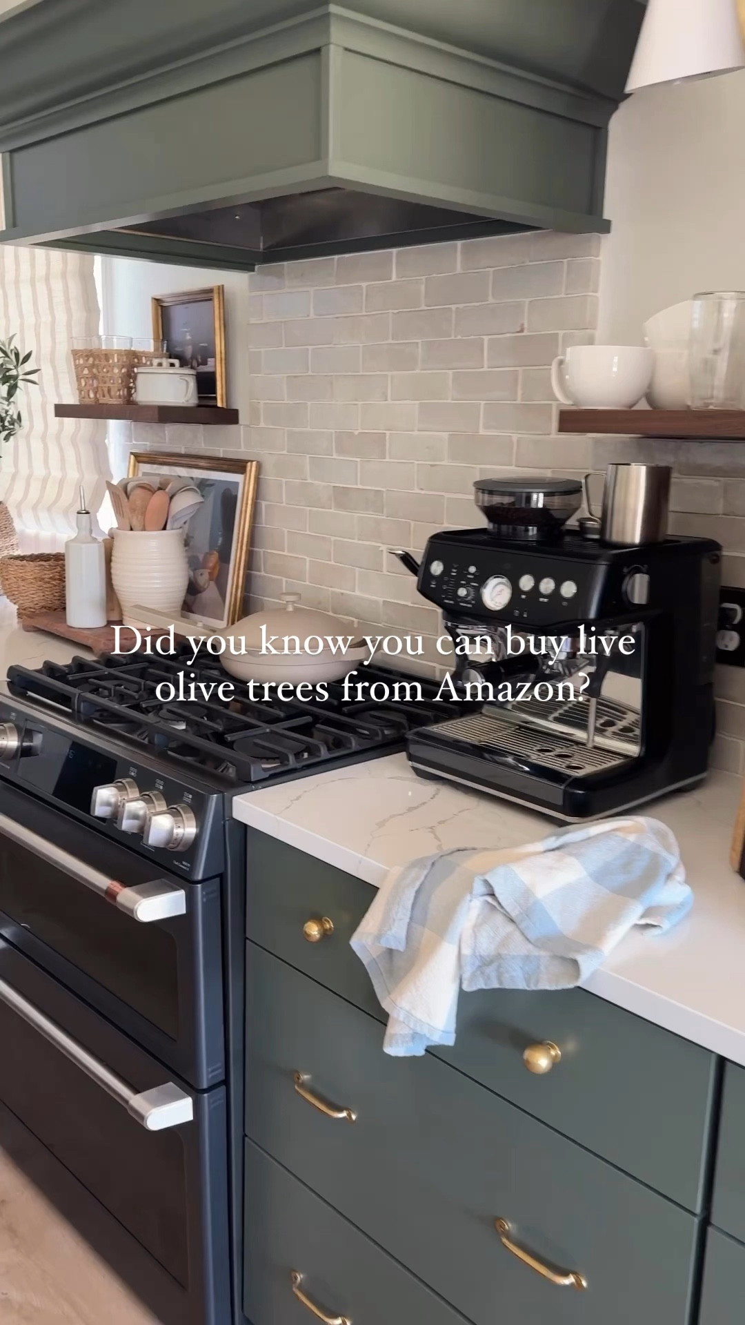 Live olive trees from Amazon?! Yes please! 😍🌿

I’ve had the one in my kitchen for a year + and he’s thriving! I loved it so much that I bought a 2nd one (I’ve had it for 6+ months and also thriving). 

Olive trees love lots of sunlight and I water mine about 10 oz every 5-7 days (or as needed). Love how pretty they look!

Follow @frengpartyof6 for more affordable home finds and style tips!

#amazonhomefind #amazonhome #amazonprime #olivetree #boujeeonabudget #affordablehome #affordabledecor #kitchendecor #ltkhome 

#LTKStyleTip #LTKFindsUnder50 #LTKHome