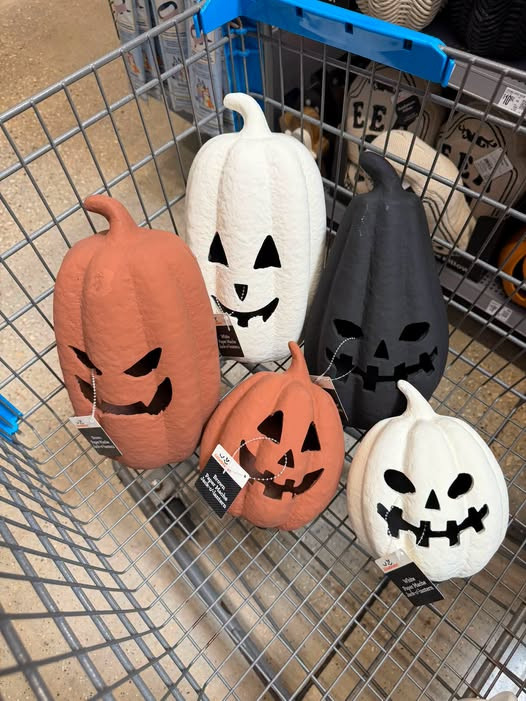 All the Paper Mache pumpkins have arrived! 🙌🎃 SO good for fall decorating! 🤎🍂

#FallDecor #PumpkinDecor #LTKFinds #FallFinds #HomeDecor 

 