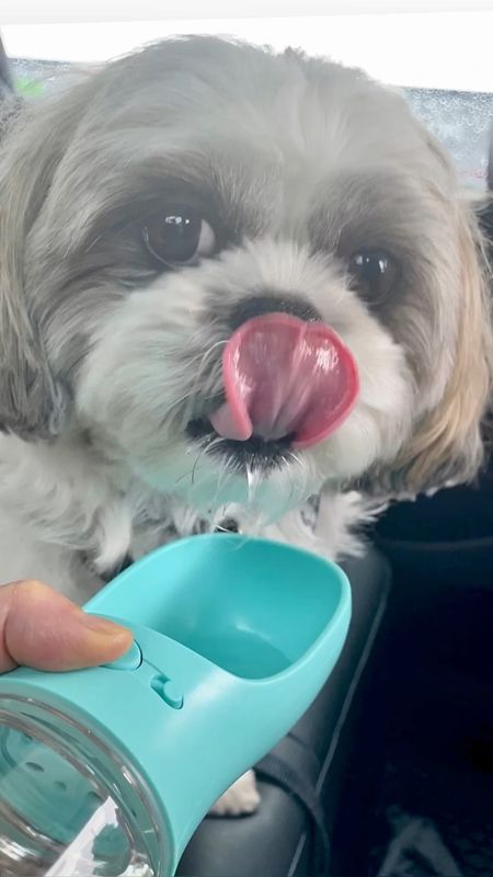 I love this no leak (12 oz) pet water bottle for when we're out with Ralphie. #Sponsored @walmart It's $11.99 and fits inside my bags making it convenient to keep him hydrated. The wide opening makes it easy for him to drink from.

#LTKunder100 #LTKFind #LTKunder50