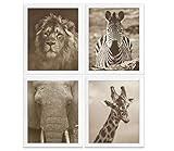 Safari Animals Photography Prints, Set of 4, Unframed, Jungle, Lion Zebra Elephant Giraffe Wall Art  | Amazon (US)
