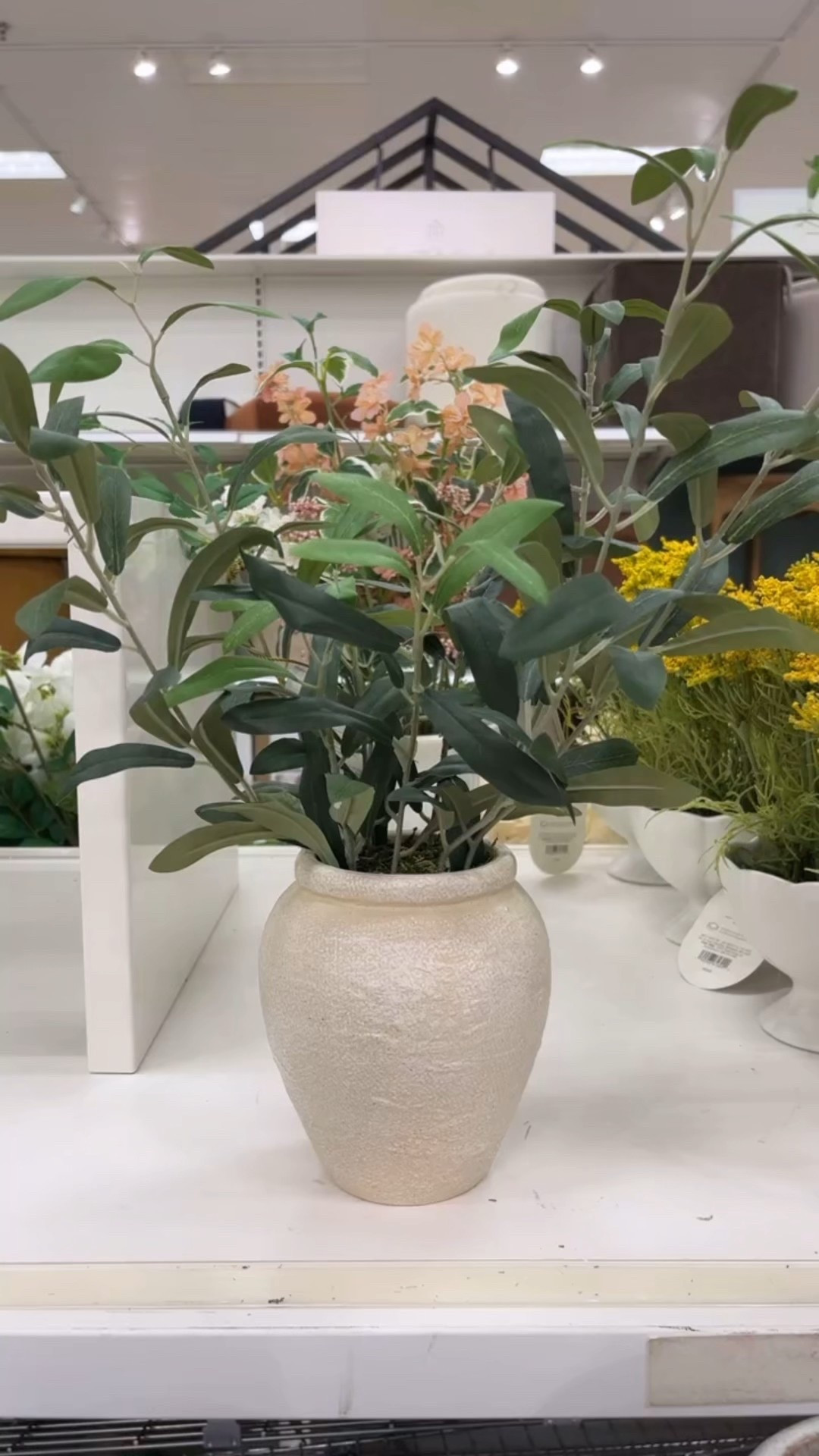 Gorgeous faux olive tree planter 🪴 

#LTKHome #LTKmomlife #LTKFindsUnder50