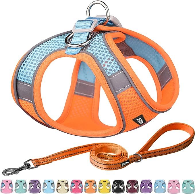 AIITLE Small Harness for Puppy with A Leash - Dog Vest Harness with Super Breathable Mesh, Reflec... | Amazon (US)