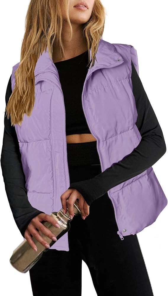 Zeagoo Women Puffer Vest Lightweight Stand Collar Sleeveless Winter Warm Zip Up Padded Outerwear ... | Amazon (US)