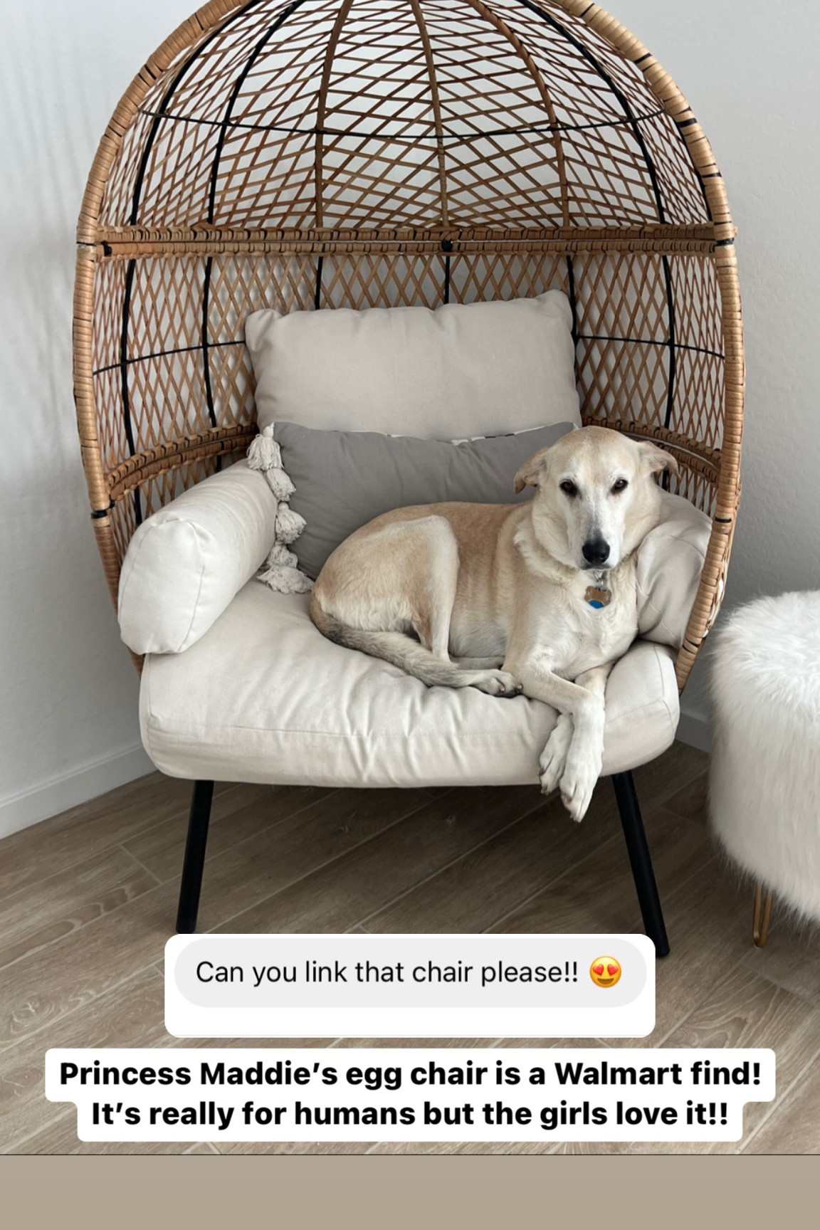 Egg chair is a Walmart find! Home furniture 

#LTKhome