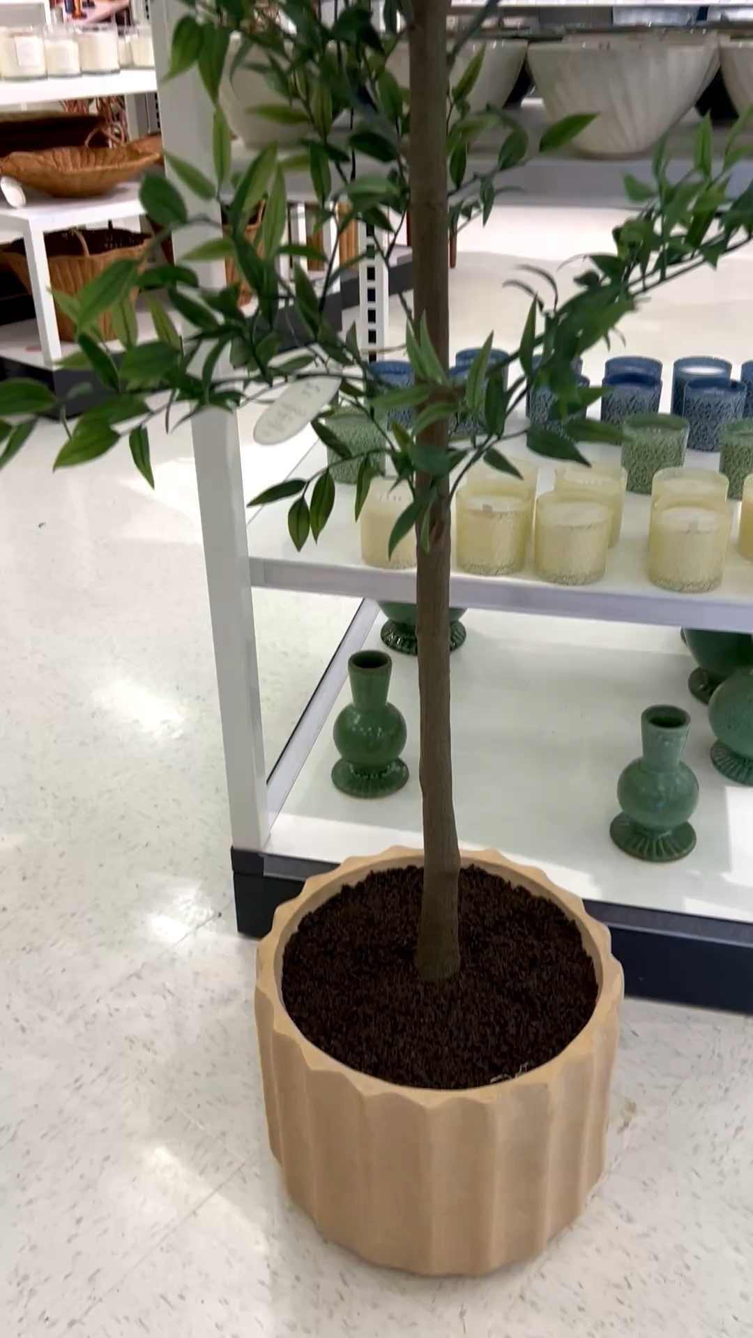 Faux Tree

Best Seller ✨
Loving this faux tree, great size and perfect for styling my clients homes. @Target 

#LTKHome #LTKSeasonal #LTKU