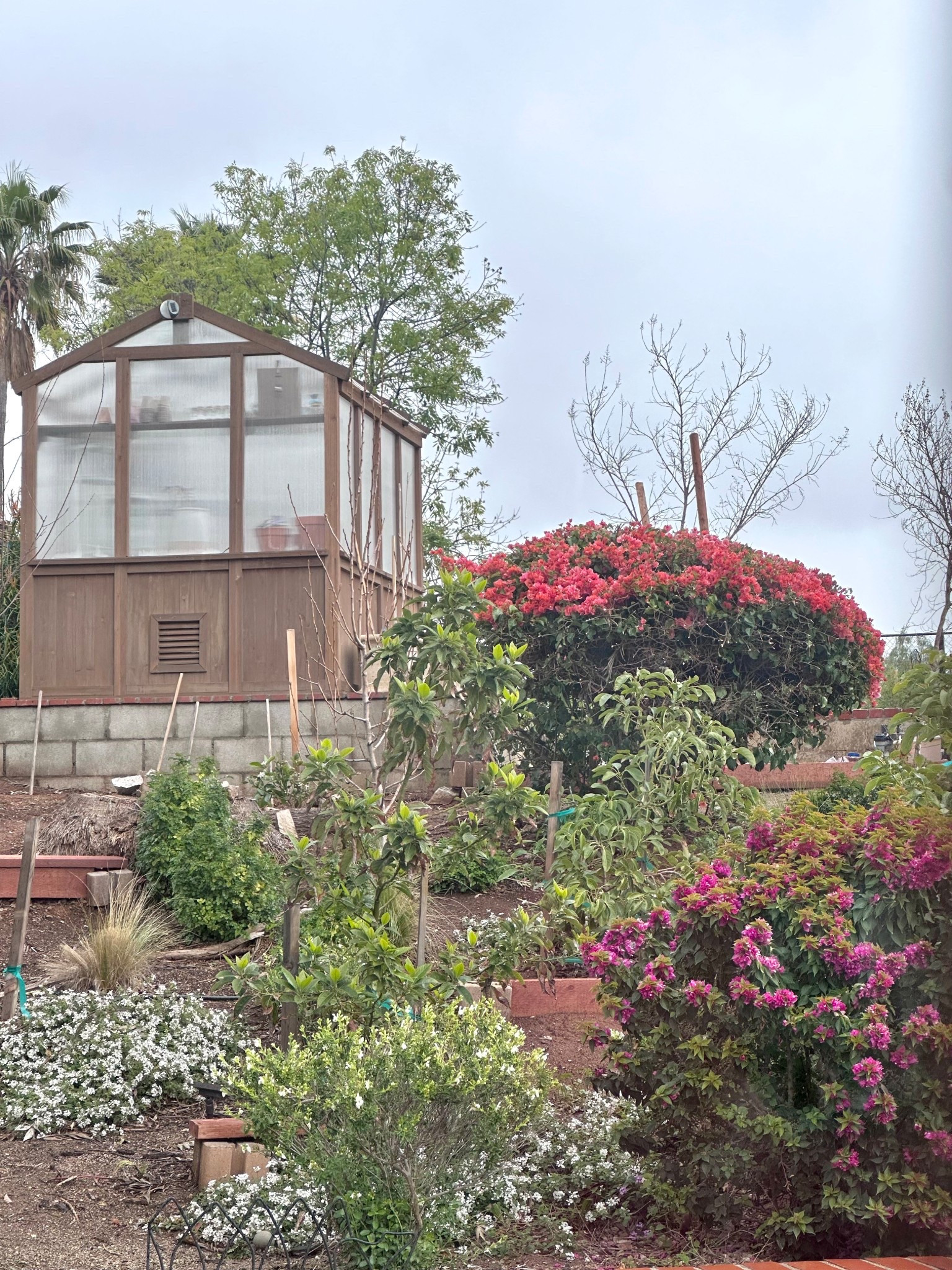 Greenhouse spring vibes 💐💖

#LTKSeasonal #LTKHome #LTKSpringSale