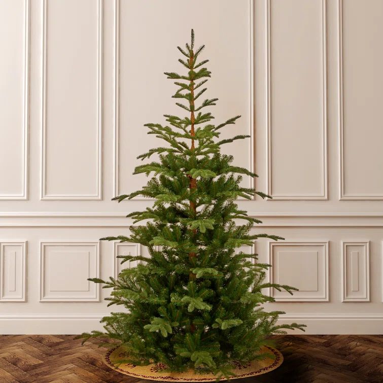 7' 5'' H Green Spruce Christmas Tree | Wayfair North America