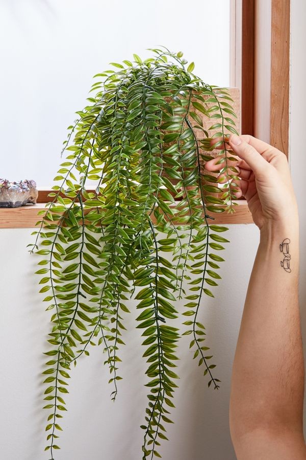 Cascading Fern Faux Plant | Urban Outfitters (US and RoW)