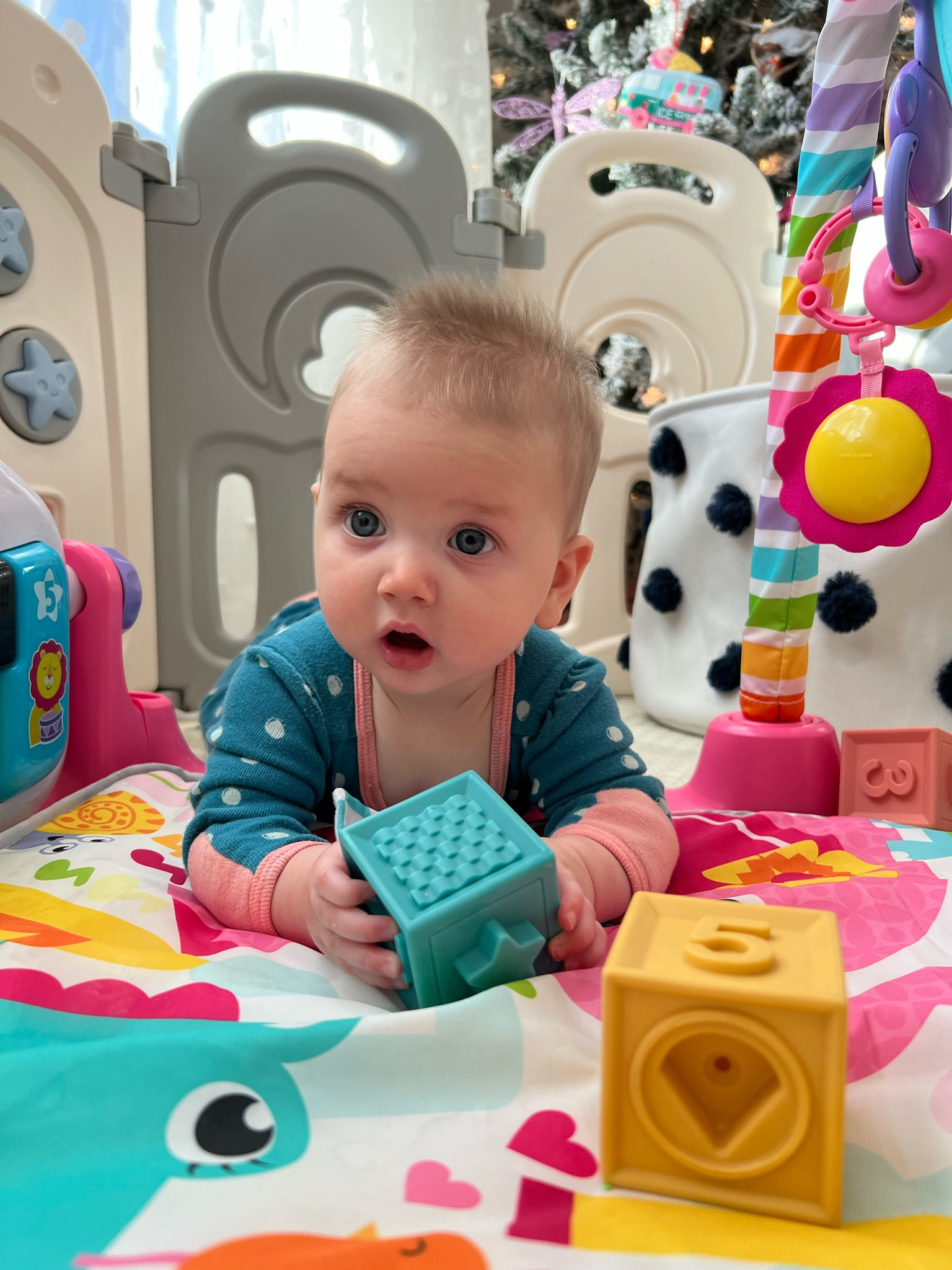 Olivia’s Favorites

#LTKbaby #LTKfamily #LTKunder50