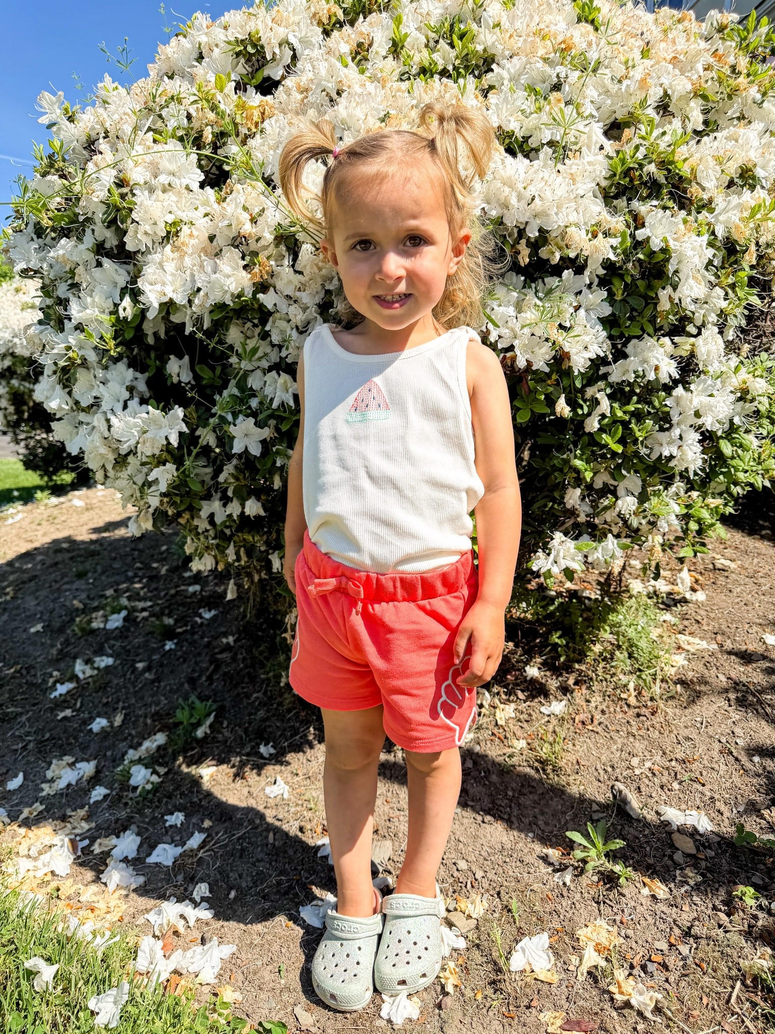 Millie girls #ootd all from carters and in stock!

#LTKootd #LTKKids #LTKmomlife