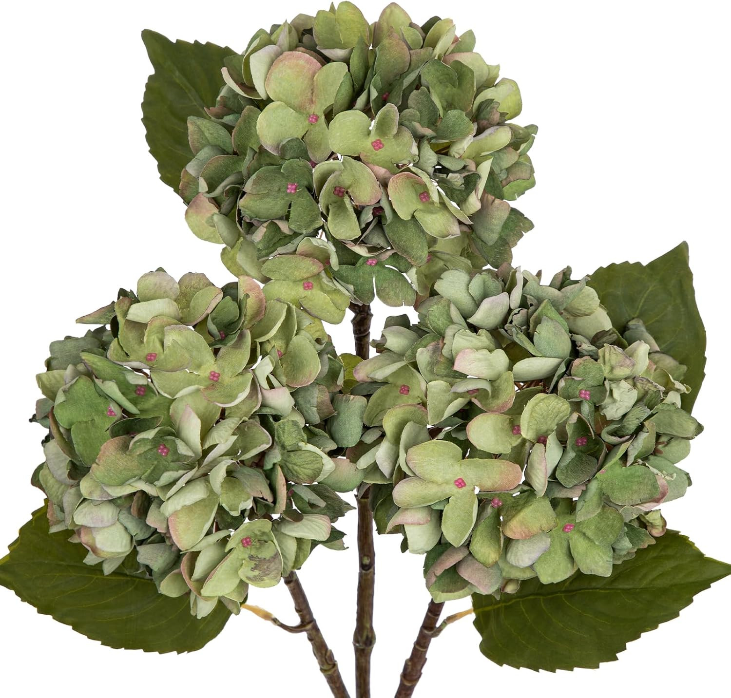 3Pcs Burnt Green Dried Hydrangea Artificial Flowers 21" Faux Fall Flower | Amazon (US)