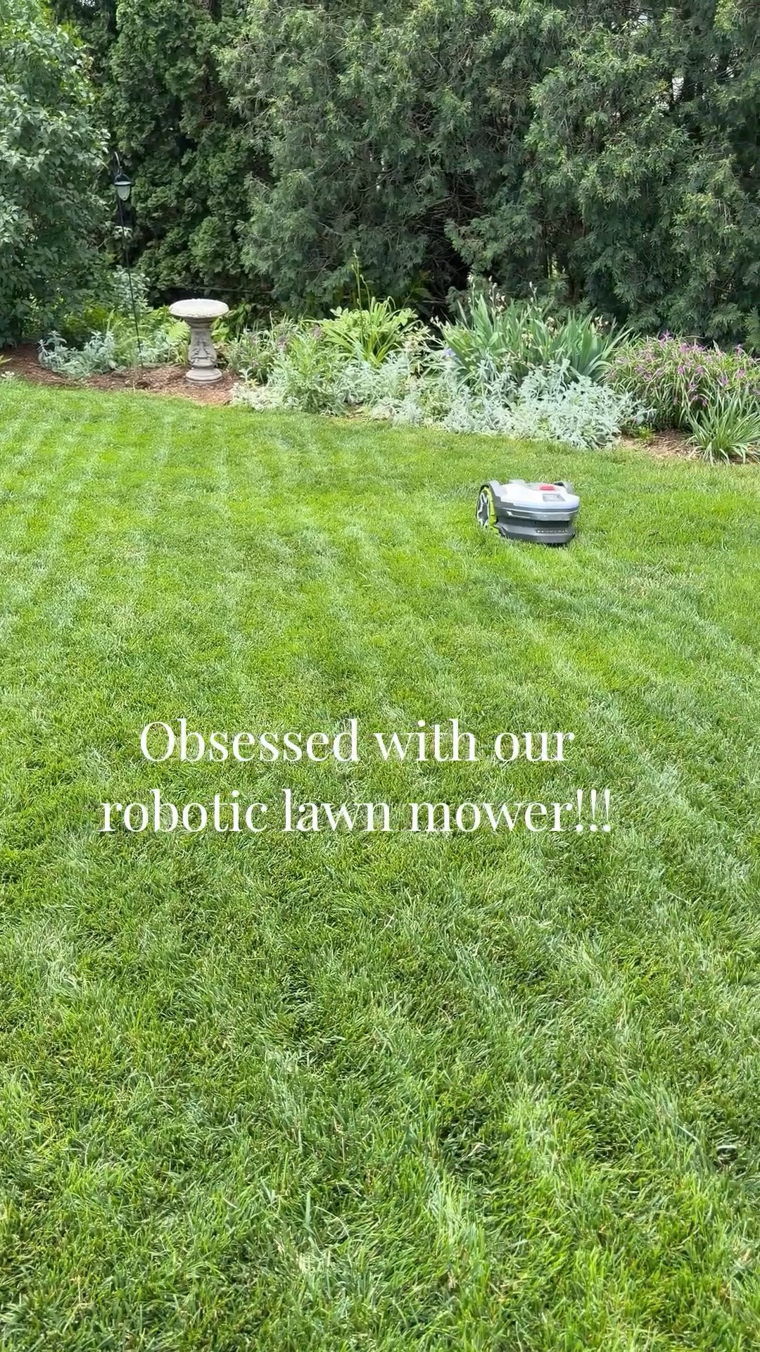 We’ve been using this mowbot since late April and it has saved us SO much time! Plus the lines in the grass always look incredible

#LTKHome