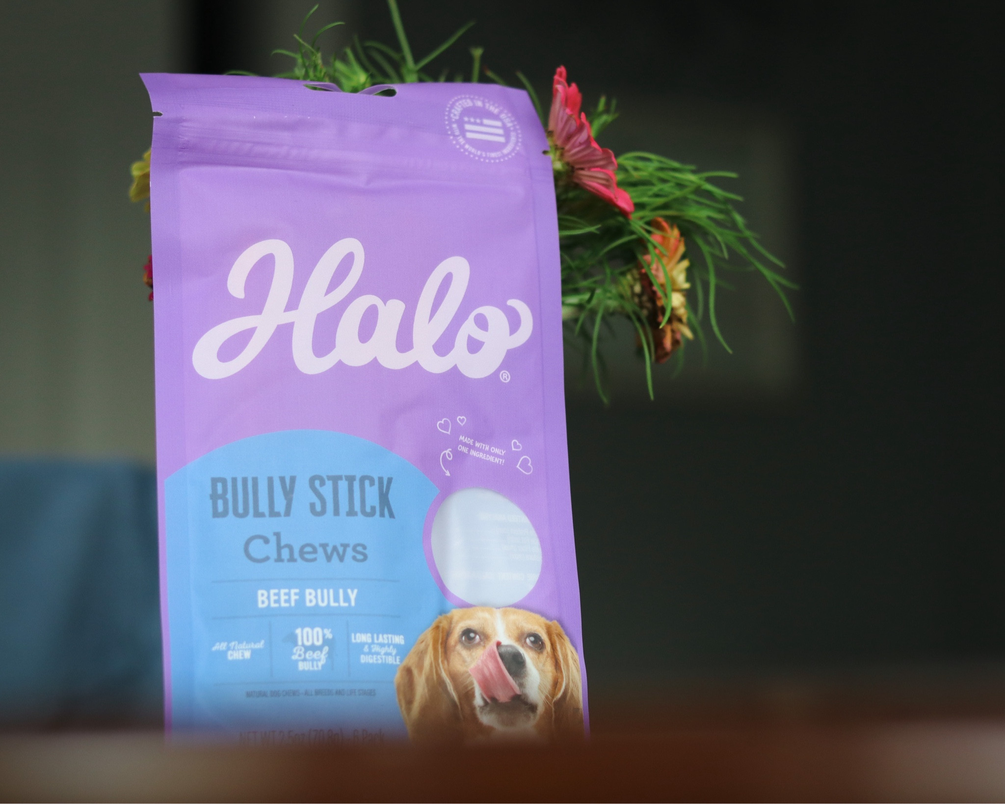 Bully sticks for dogs 

#LTKfindsunder50 #LTKfindsunder100 #LTKhome