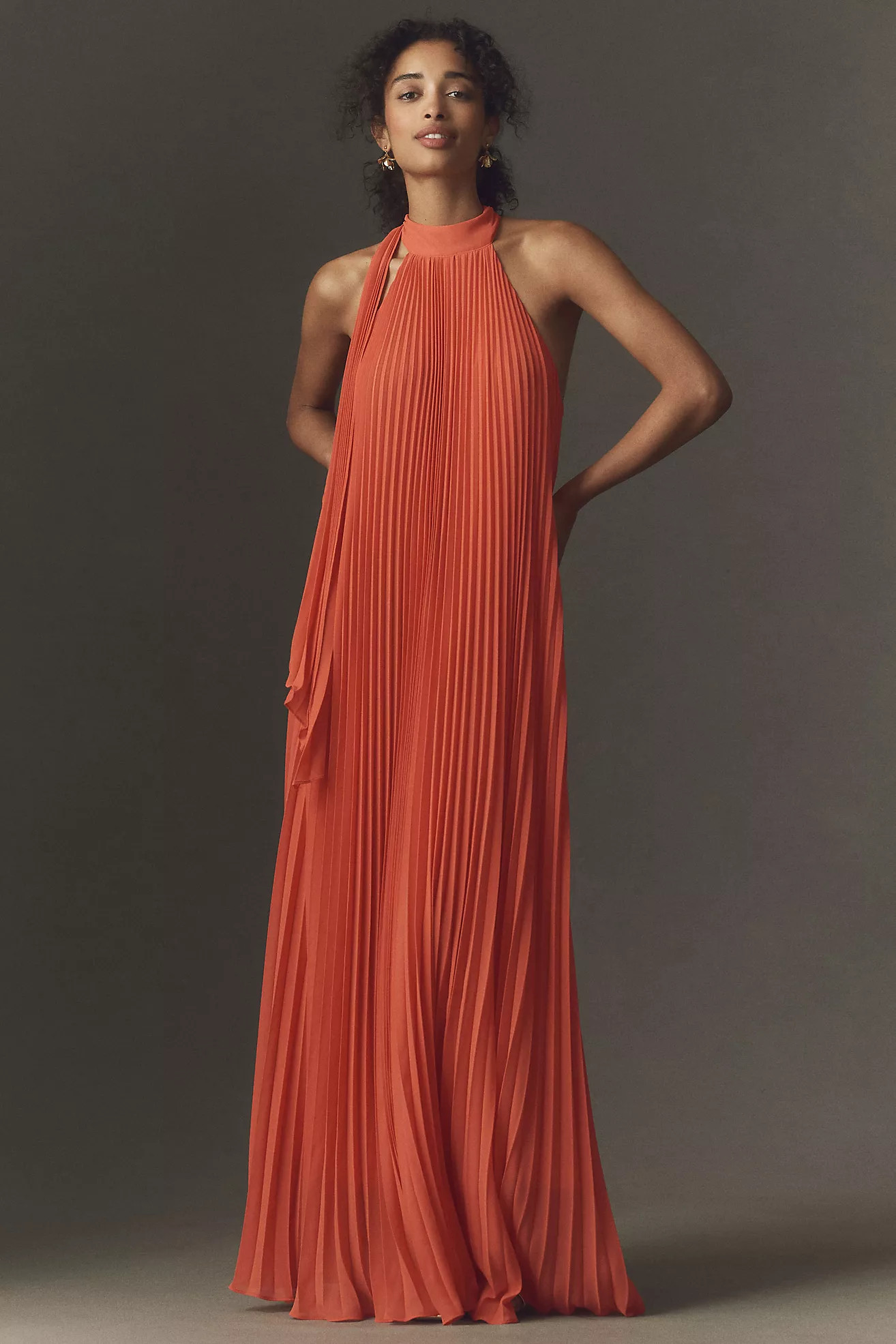 BHLDN Rosie Mock-Neck Pleated Chiffon Maxi Dress | Anthropologie (US)