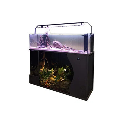 Glass+Carbon steel Modern Eco Aquarium Tank | Wayfair North America