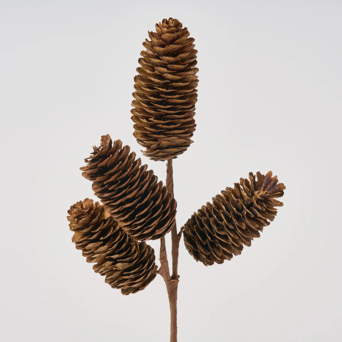 Natural Brown Faux Pinecone Branch Pick Spray - 12" | Darby Creek Trading
