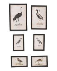 Set Of 6 Waterfowl Gallery Wall Art | Home | Marshalls | Marshalls