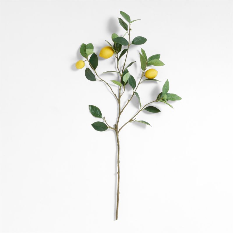 Faux Lemon Stem + Reviews | Crate & Barrel | Crate & Barrel