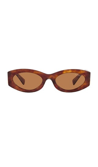 Oval Sunglasses in Havana | Revolve Clothing (Global)