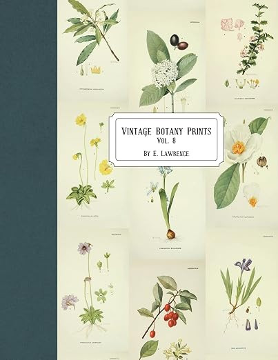 Vintage Botany Prints: Vol. 8 | Amazon (US)