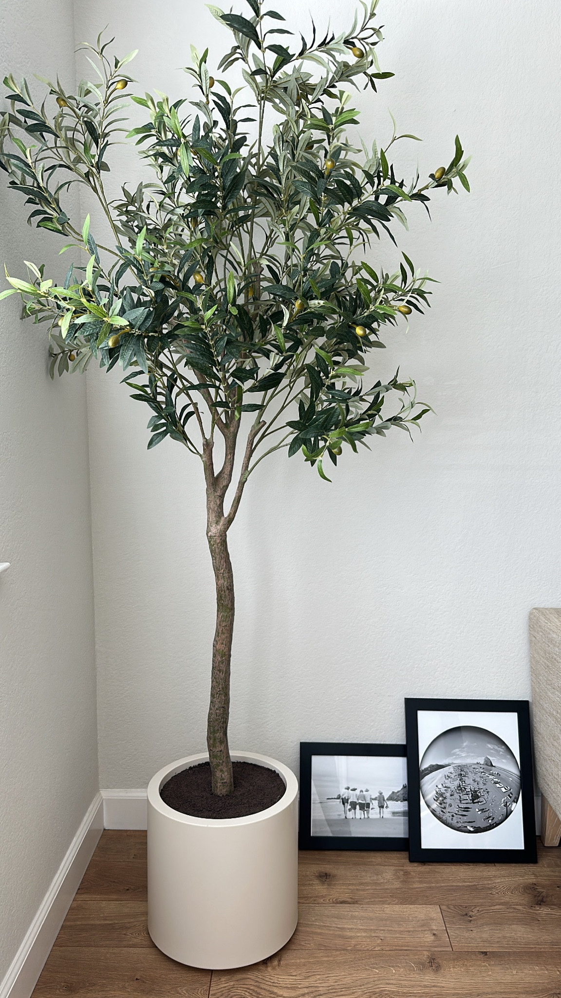 This fake olive tree from Costco looks anything but fake! Paired with two vintage prints from the Oregon coast, this tree & print combo is perfect for any bedroom or living room decor!

#LTKfindsunder100 #LTKhome #LTKGiftGuide