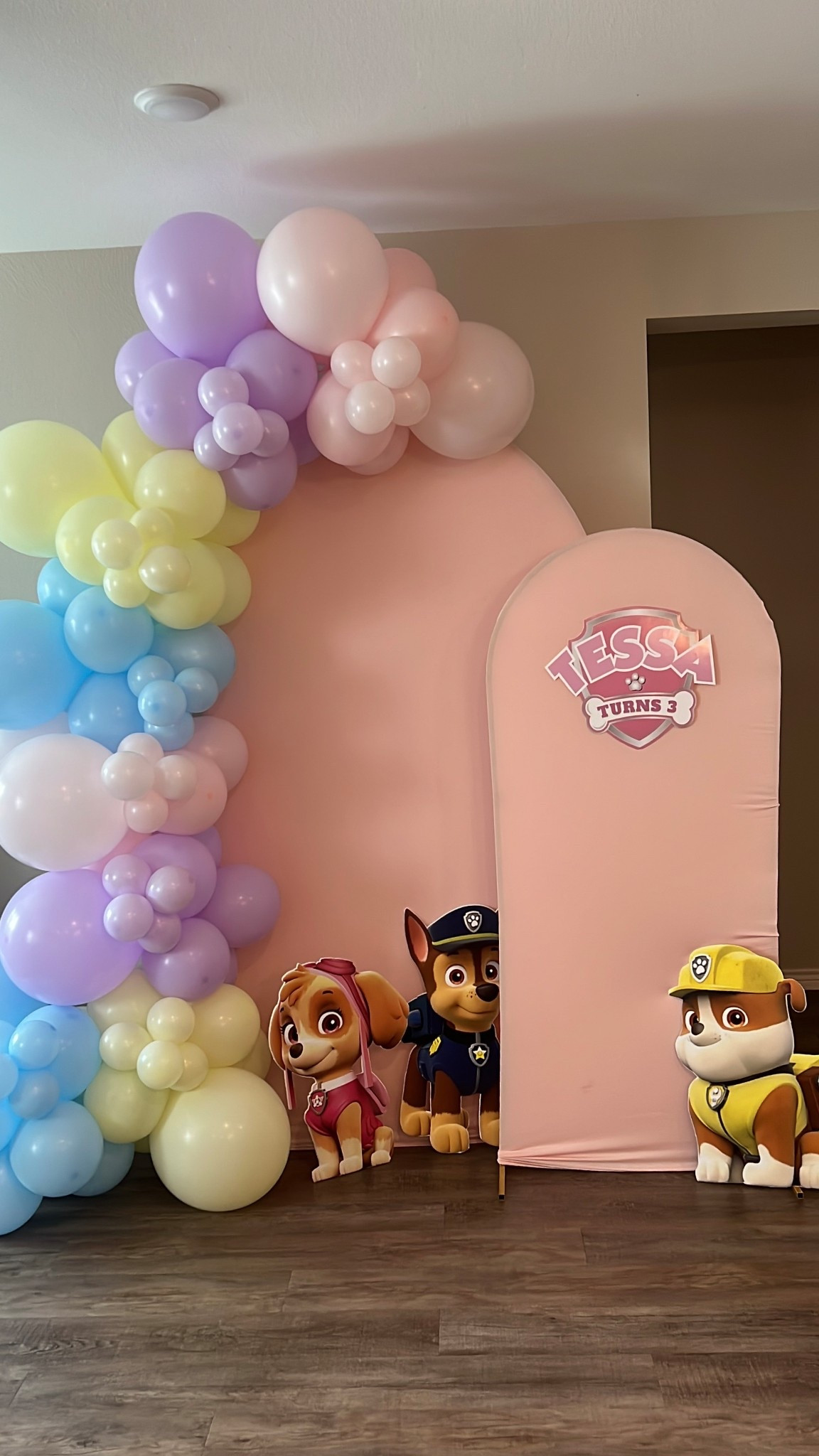 Items from our paw patrol 3rd birthday party! Full video on TT

#LTKFindsUnder100 #LTKParties #LTKKids