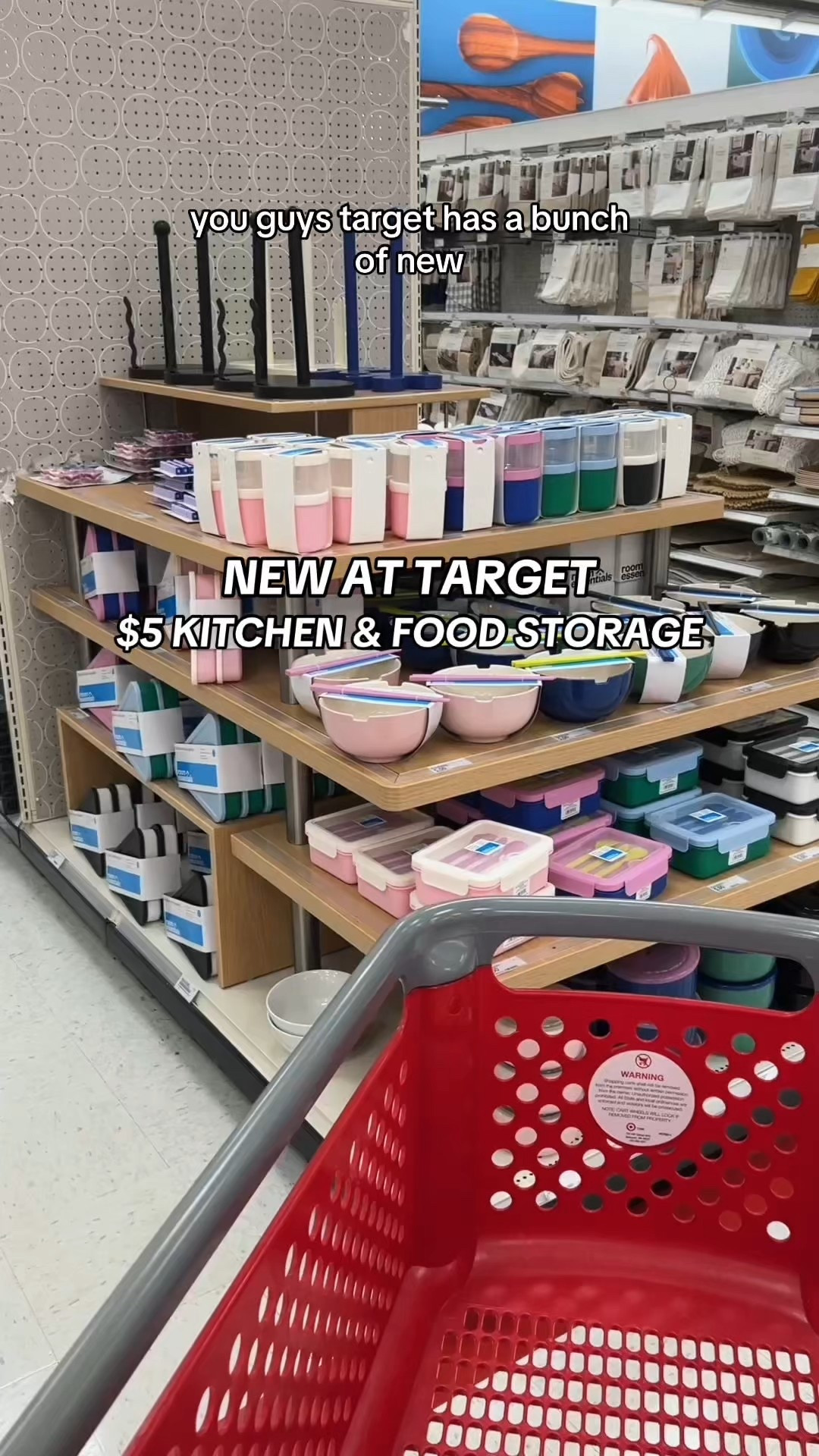 New food storage & kitchen items at Target! Click on the item for more colors!

#kitchen #Target #foodorganization #lunchbox #backtoschool #organization #fridge 

#LTKHome #LTKTravel #LTKFamily