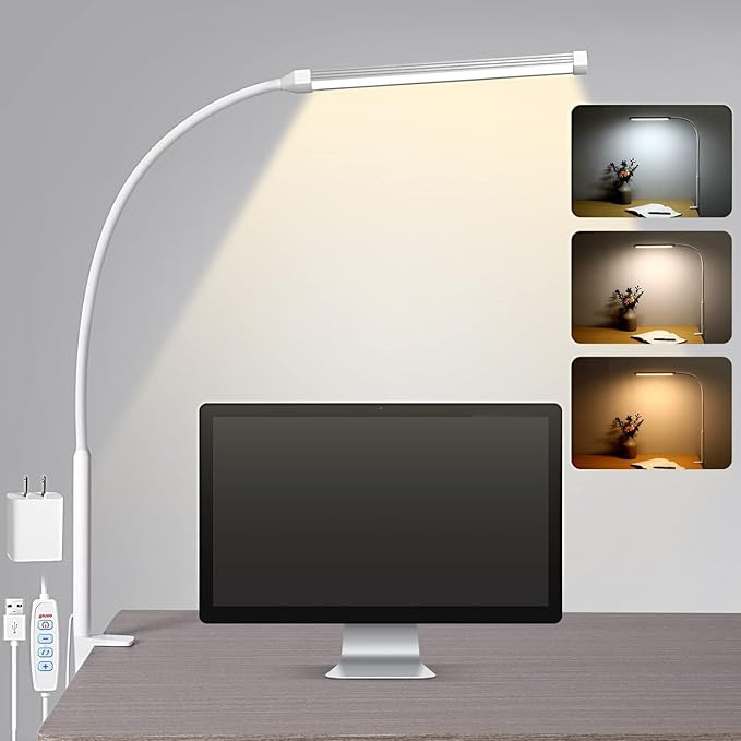 LED Desk Lamp with Clamp, Eye-Caring Clip on Lights for Home Office, 3 Modes 10 Brightness, Long ... | Amazon (US)