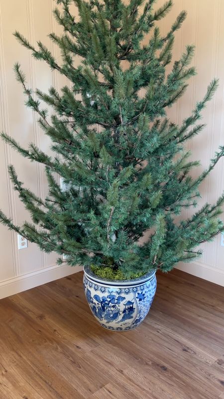 Chinoiserie Fishbowl Christmas Tree Base! 

I have the 18” diameter, but I think a 16” would be okay for a 7’ tree. 

The taller/bigger the tree, the larger diameter you need in order to keep the proportions accurate. 


#LTKhome #LTKHoliday