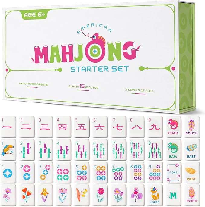 Mini Mahjong Set for Kids & Beginners, Portable Travel Mahjong Tiles Set American for Family, 160... | Amazon (US)