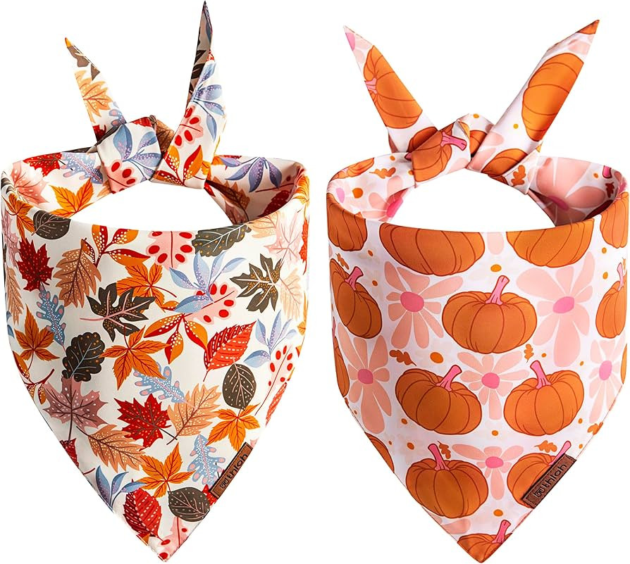 Fall Dog Bandanas - 2 Pack Halloween Thanksgiving Dog Bandana | Reversible Pumpkin and Leaf Pet S... | Amazon (US)