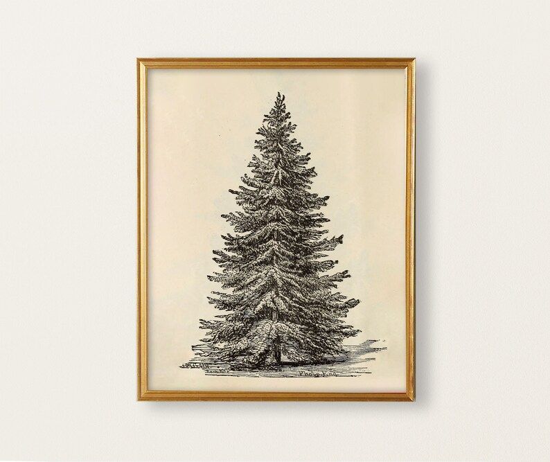 Vintage Tree Drawing Sketch Vintage Print Instant Download - Etsy | Etsy (US)