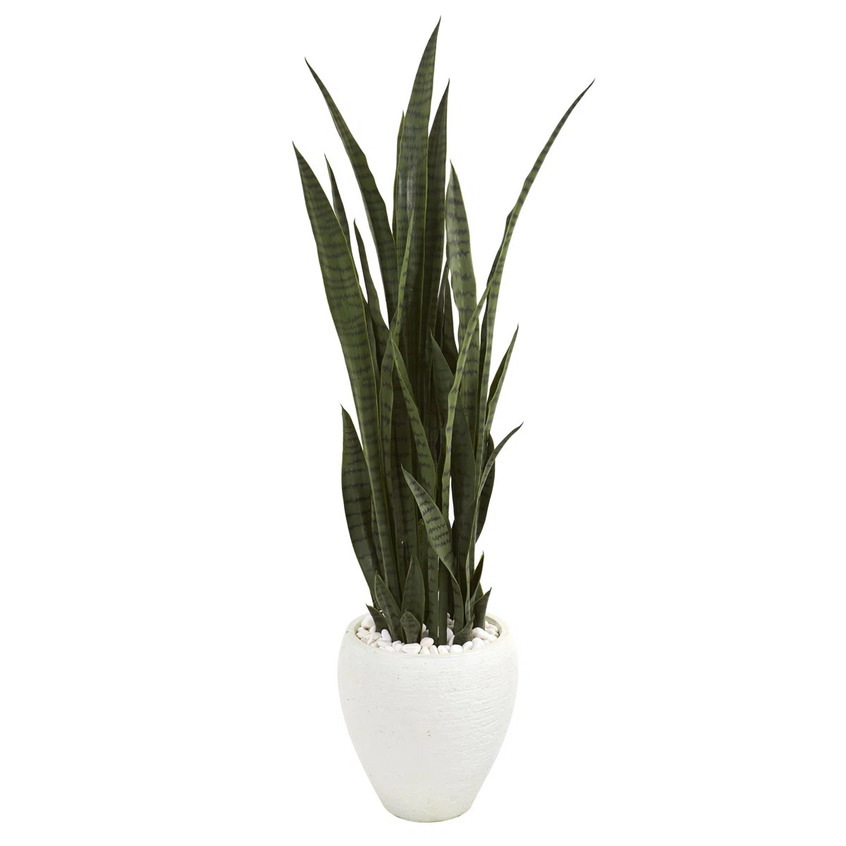 Bay Isle Home™ 51" Artificial Snake Plant in Planter & Reviews | Wayfair | Wayfair North America