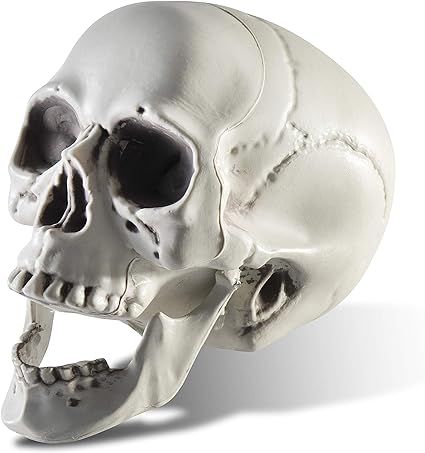 Prextex 6.5 inch Realistic Looking Skeleton Skull for Best Halloween Decoration | Amazon (US)
