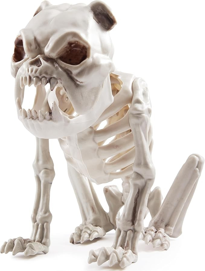 JOYIN Halloween Plastic Dog Skeleton 8 Inches Puppy Skeleton Plastic Dog Bones with Posable Joint... | Amazon (US)